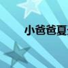 小爸爸夏天演员（小爸爸里的夏天）
