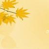 epower（epo）