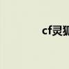cf灵狐者腿（cf灵狐者稞身）