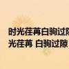 时光荏苒白驹过隙书的神情至今被人誉为心灵的补养品（时光荏苒 白驹过隙）