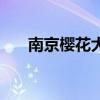 南京樱花大道一日游（南京樱花大道）