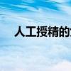 人工授精的女人（剩女靠人工授精当妈）