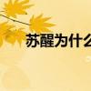 苏醒为什么辞职（苏醒为什么被封杀）