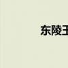 东陵玉的功效与作用（东陵）