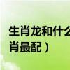 生肖龙和什么生肖最配结婚（生肖龙和什么生肖最配）