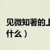 见微知著的上一句是什么（见微知著的意思是什么）