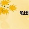 龟田队长图片（龟田队长）
