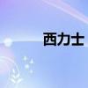 西力士 官方网站（西力士价格）