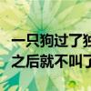 一只狗过了独木桥就不叫（一条狗过了独木桥之后就不叫了）