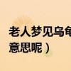 老人梦见乌龟是什么意思呢（梦见乌龟是什么意思呢）