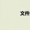 文件抄送格式（文件抄送）