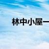林中小屋一共几部?（林中小屋好看吗）