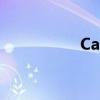 Carinetnn（carinet）