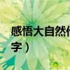 感悟大自然作文400字（感悟大自然作文500字）