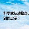 科学家从动物身上得到的启示有哪些（科学家从动物身上得到的启示）