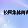 校园集体舞青春飞扬歌曲（青春飞扬歌曲）