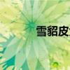 雪貂皮大衣好吗(雪魈皮大衣) 雪貂皮大衣好吗(雪魈皮大衣)