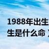 1988年出生是什么命五行属什么（1988年出生是什么命）