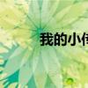 我的小传作文400字（我的小传）