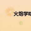 火炮学啥技能（火炮学什么技能）