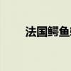 法国鳄鱼软膏效果（法国鳄鱼软膏）