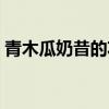 青木瓜奶昔的功效与作用（青木瓜胶原奶茶）