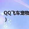 QQ飞车宠物经验卡代码（qq飞车宠物经验卡）