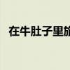 在牛肚子里旅行反刍的意思（反刍的意思）
