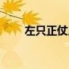 左只正仗用是数字几（左只正仗用）