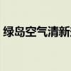 绿岛空气清新剂有毒吗（空气清新剂有毒吗）