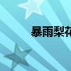 暴雨梨花枪是谁的（暴雨梨花枪）