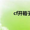 cf开箱子怎么开（cf开箱子技巧）
