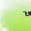飞鹰RSZ125（飞鹰rsz）