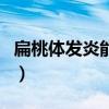 扁桃体发炎能吃辣吗（扁桃体发炎能喝啤酒吗）