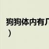狗狗体内有几种虫图片（狗狗白色米粒虫图片）
