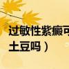 过敏性紫癜可以吃土豆泥吗（过敏性紫癜能吃土豆吗）