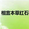 相宜本草红石榴系列价格（相宜本草红石榴）