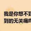 我是你想不到的无关痛痒上一句（我是你想不到的无关痛痒）