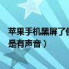 苹果手机黑屏了但是有声音修要多少钱（苹果手机黑屏了但是有声音）
