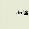 dnf金钱兔属性（dnf金钱兔）