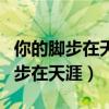 你的脚步在天涯我的思念是什么歌曲（你的脚步在天涯）