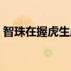 智珠在握虎生威四方妖孽都跪低（智珠在握）