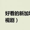 好看的新加坡电视剧2022（好看的新加坡电视剧）
