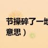 节操碎了一地的表情包（节操碎了一地是什么意思）