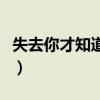 失去你才知道真的不能没有你(失去你才知道) 失去你才知道真的不能没有你(失去你才知道)