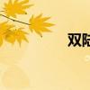 双陆棋怎么玩（双陆棋）