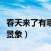 春天来了有哪些景象一年级（春天来了有哪些景象）