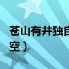 苍山有井独自空下一句是什么（苍山有井独自空）