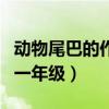 动物尾巴的作用一年级题目（动物尾巴的作用一年级）