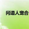 问道人宠合一有什么用（问道人宠合一）